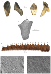 Figure 6