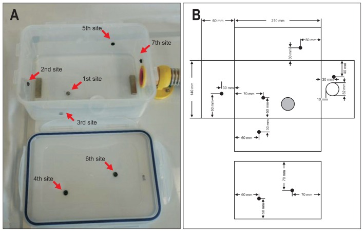 Fig. 1