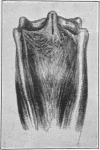1562-1