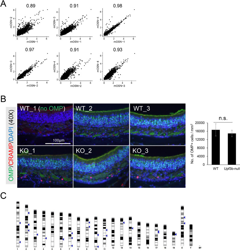 Figure 6—figure supplement 2.