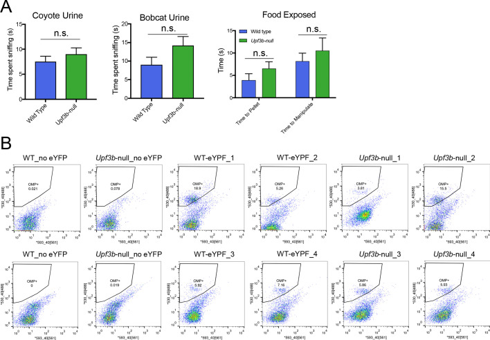 Figure 1—figure supplement 1.