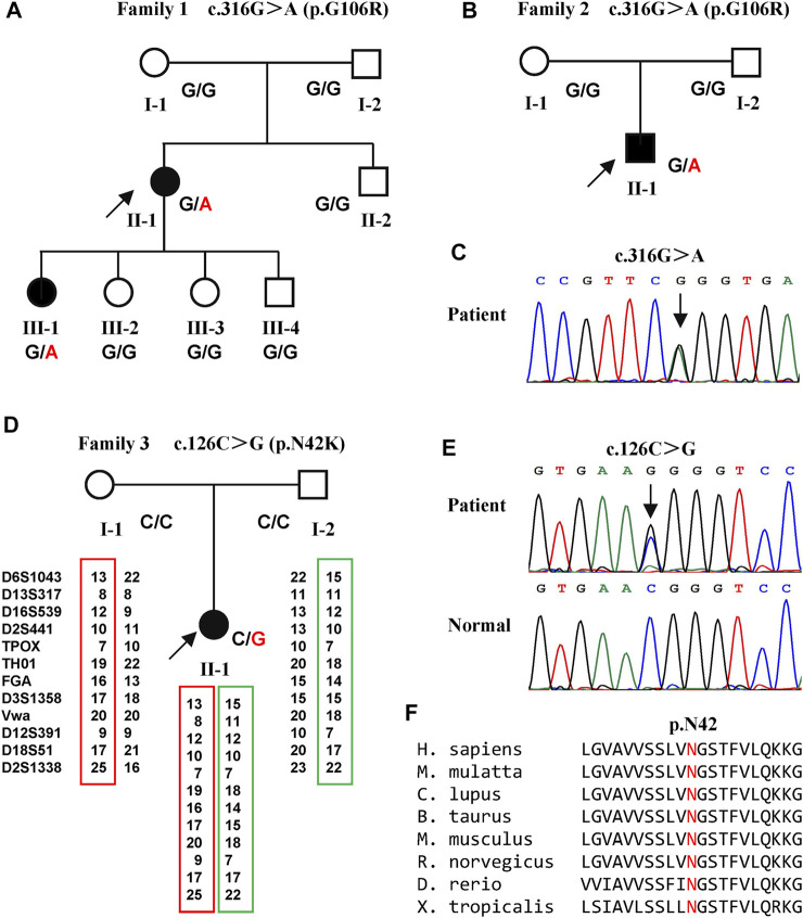 FIGURE 1