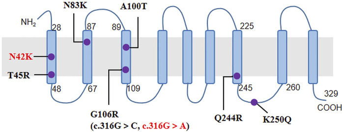 FIGURE 2