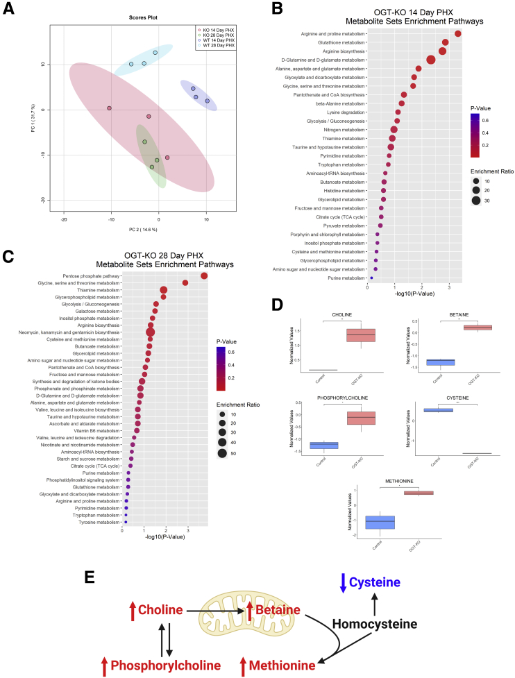 Figure 12