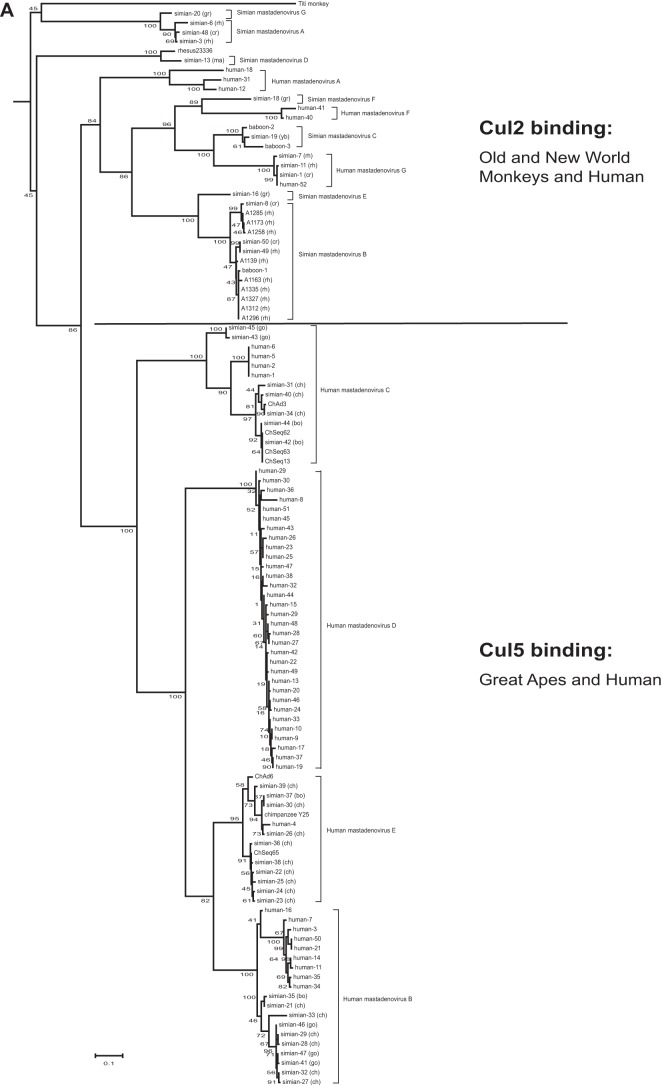 FIG 1