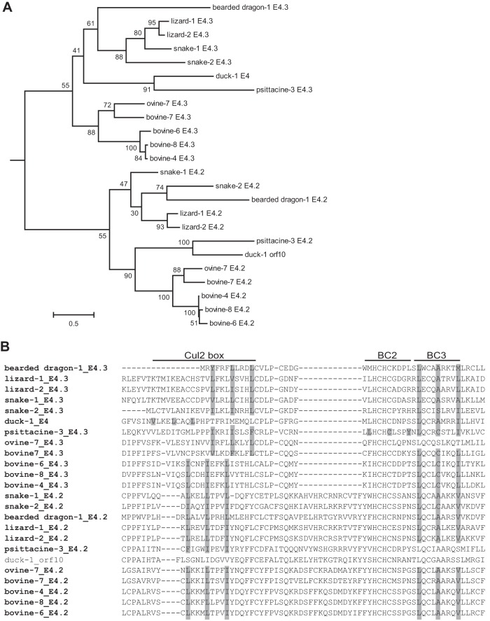 FIG 5