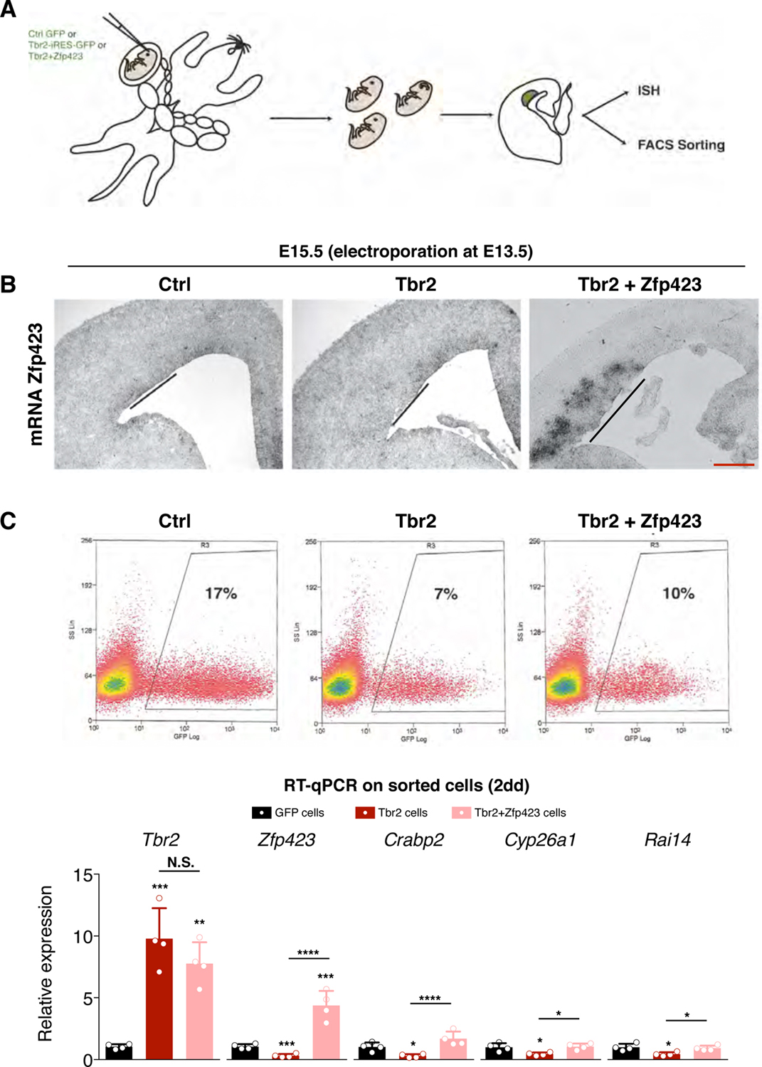 Fig. 6.