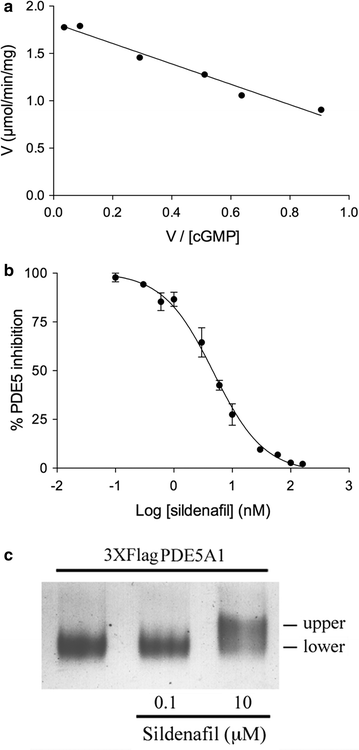 Fig. 8
