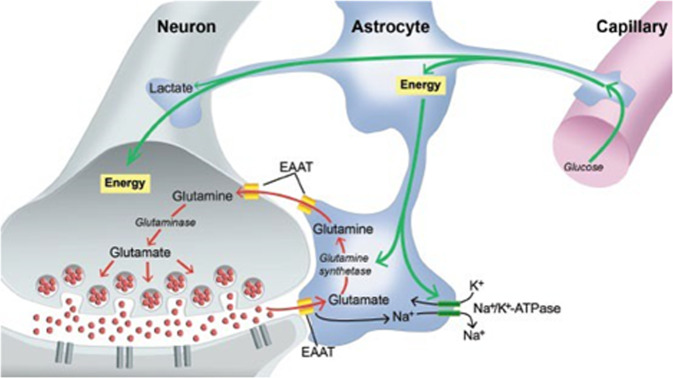 Fig. 1