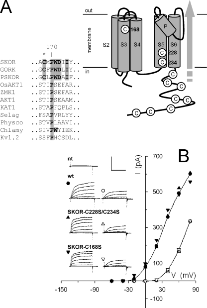 FIGURE 1.