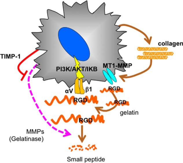 FIGURE 12.