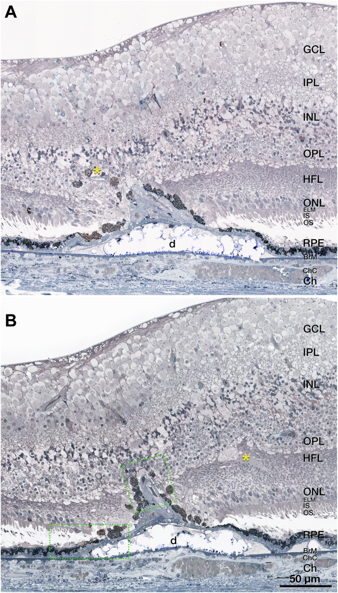 Figure 6