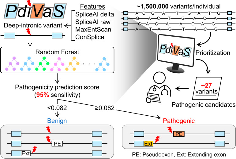 graphic file with name 12864_2023_9645_Fig7_HTML.jpg