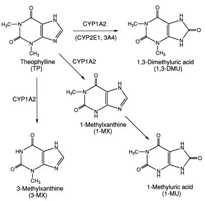FIG. 1