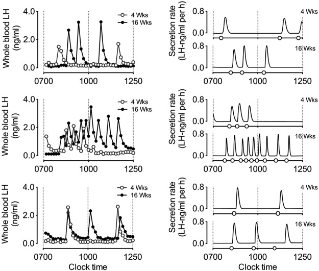 Figure 2.