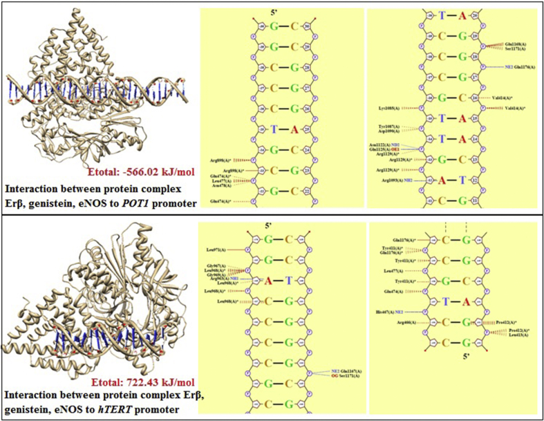 Figure 4