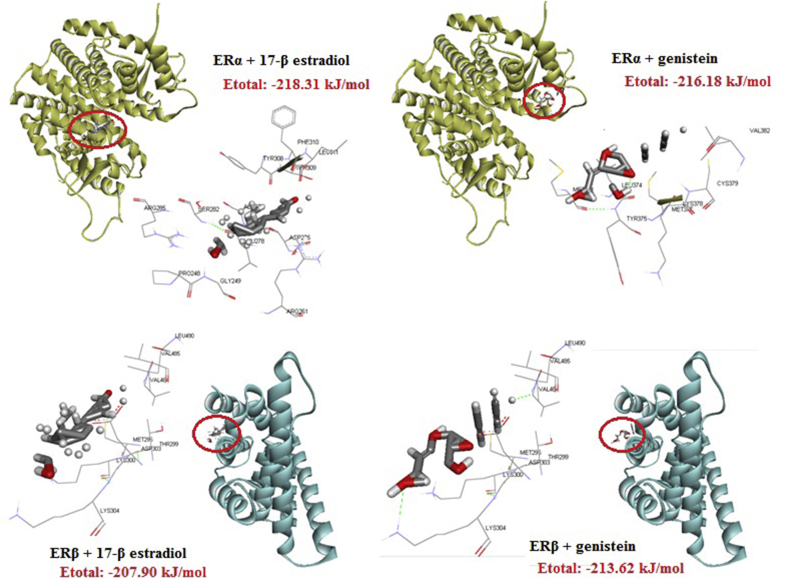 Figure 1