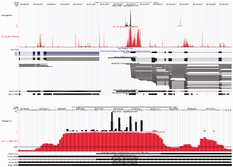 Fig 4.