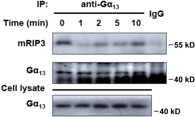 Fig. S10.