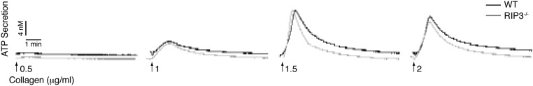 Fig. S2.