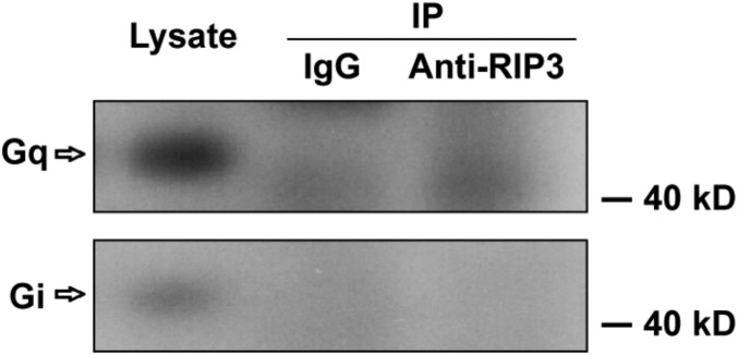 Fig. S9.