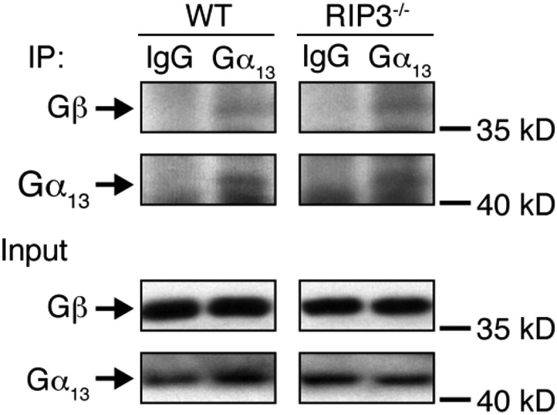 Fig. S12.