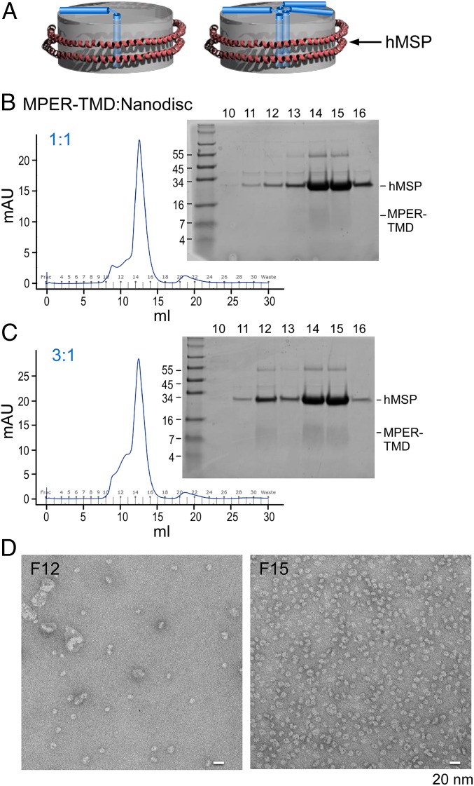 Fig. 3.