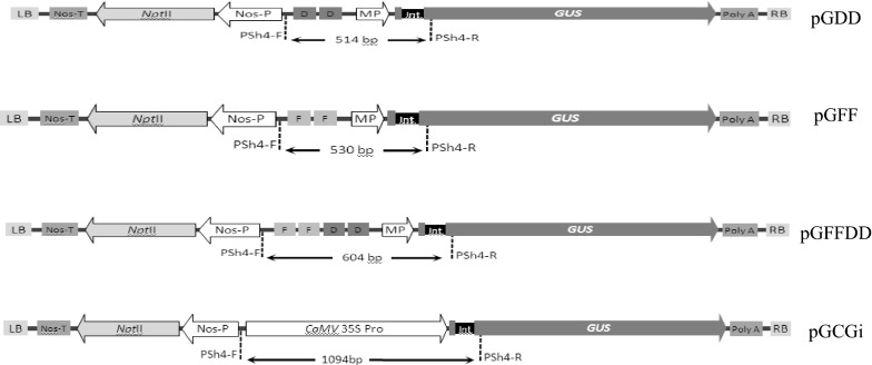 Fig. 1