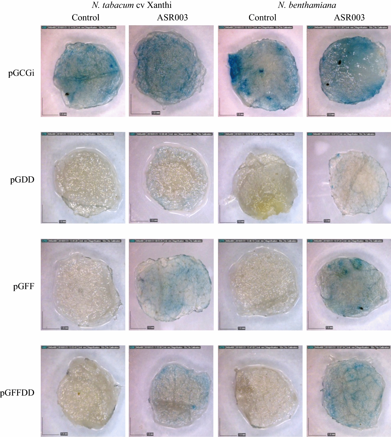 Fig. 7