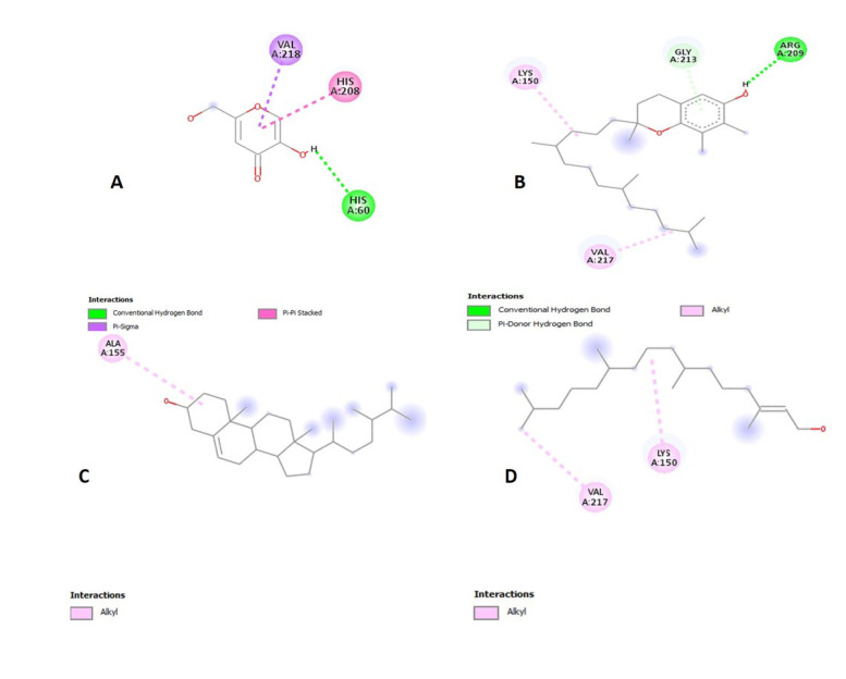 Figure 10