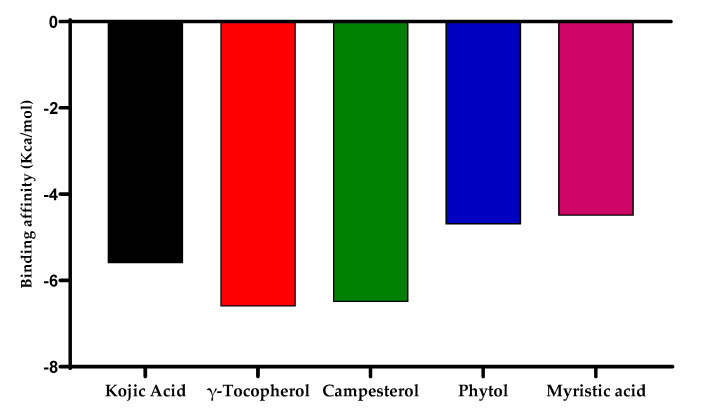 Figure 11