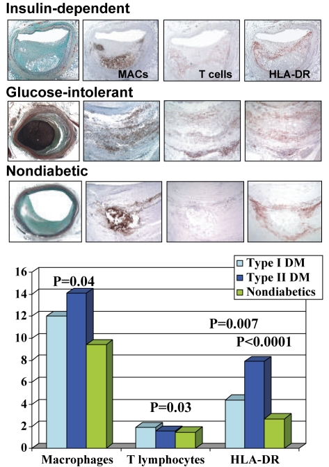 Figure 1)