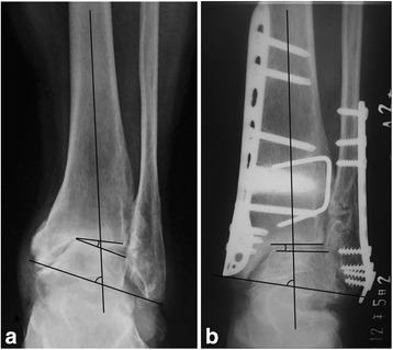 Fig. 5