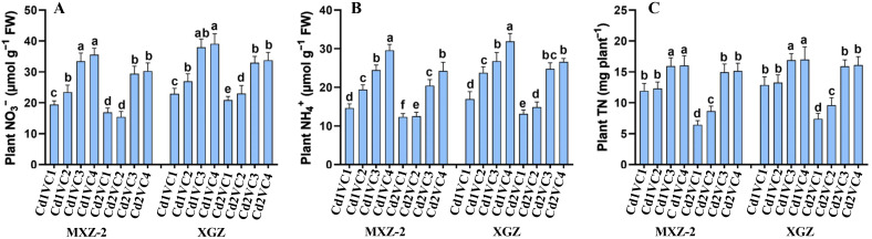 Figure 3