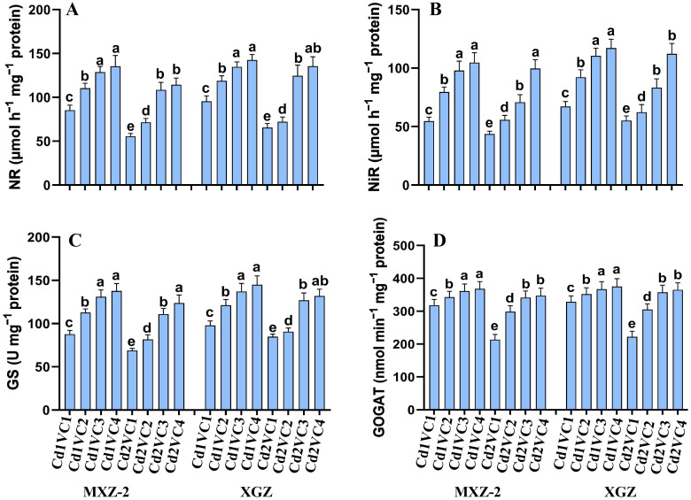 Figure 2