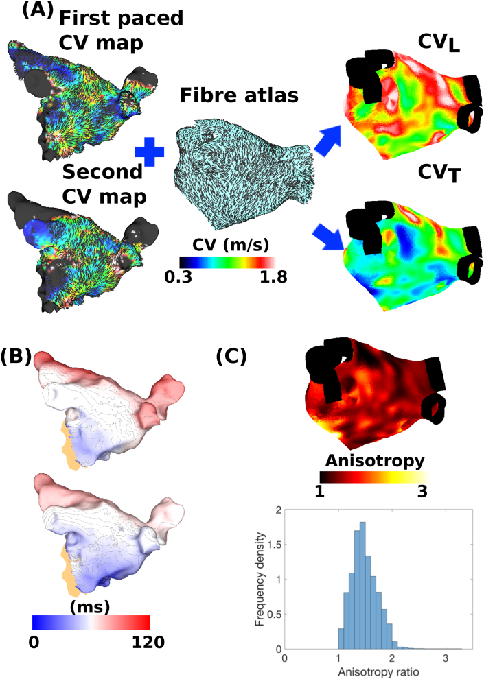 Fig. 7