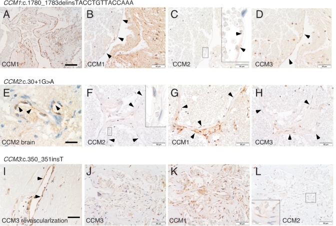 Figure 3.