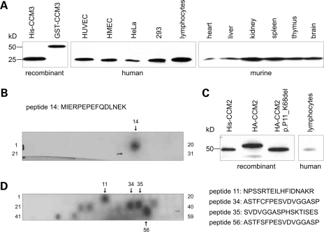 Figure 1.