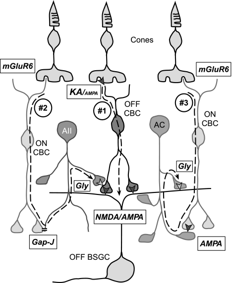 Fig. 10.