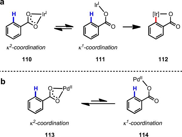 Scheme 16