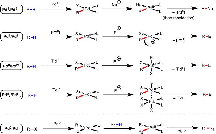 Scheme 5