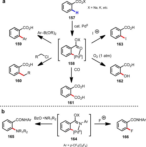 Scheme 23