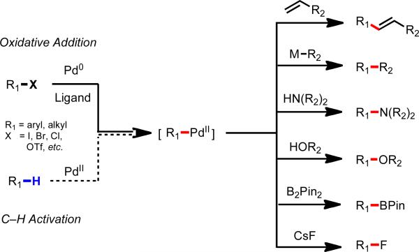 Scheme 4