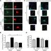 Figure 2.