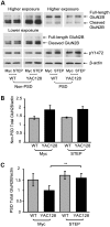 Figure 5.