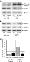 Figure 4.