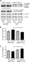 Figure 7.