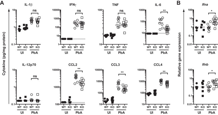 FIG 6