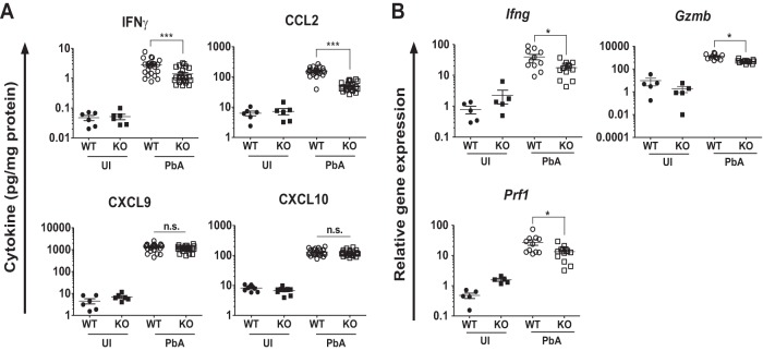 FIG 3