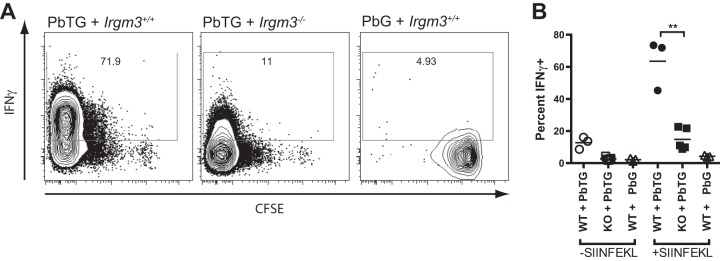 FIG 5